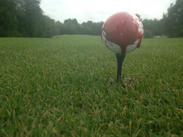 Bloody Golf Ball Image